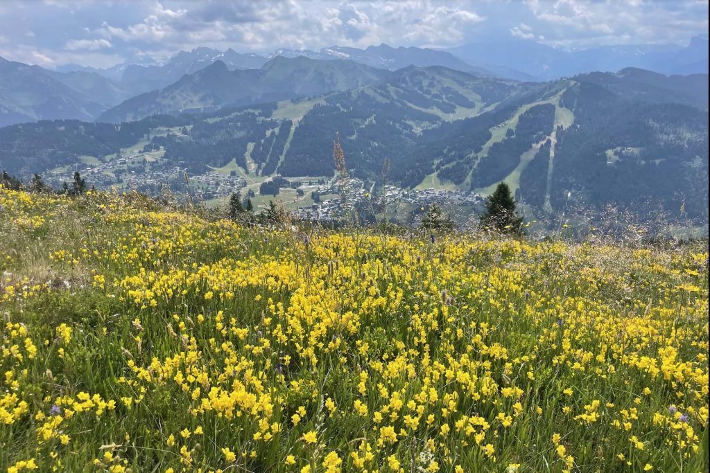 From snow to switchbacks: why I returned to Les Gets on an e-mountain bike