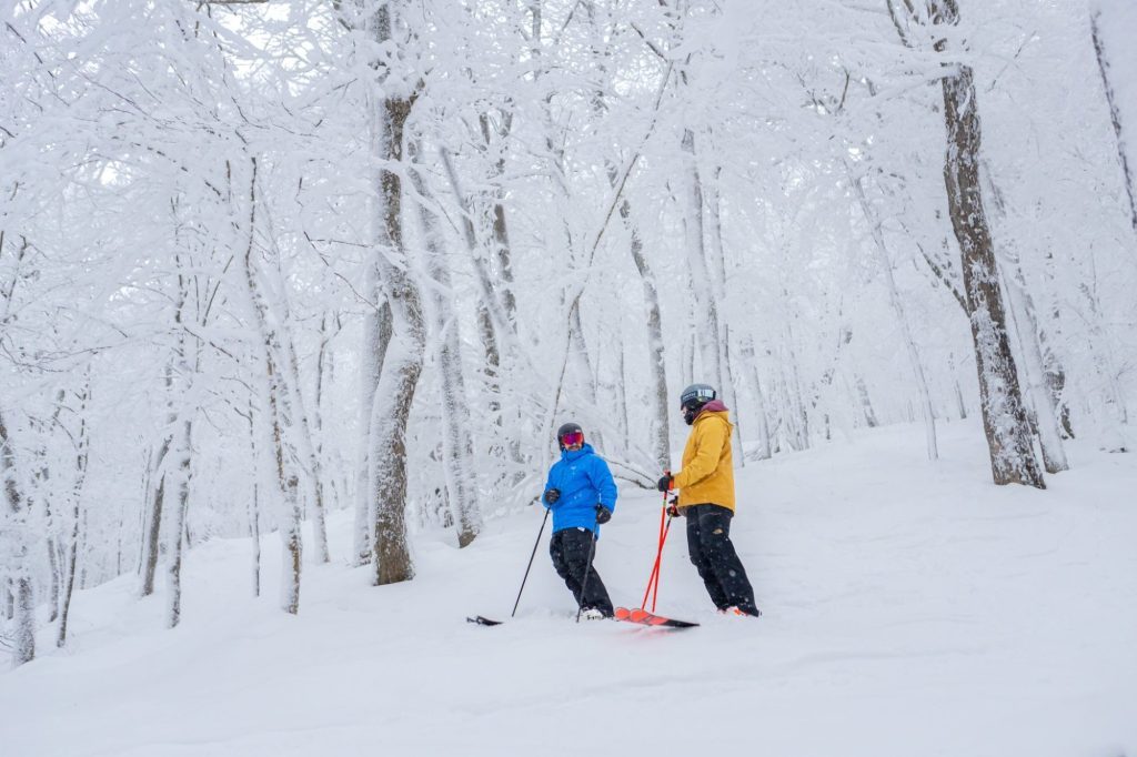 Where is Good to Ski or Board Right Now?