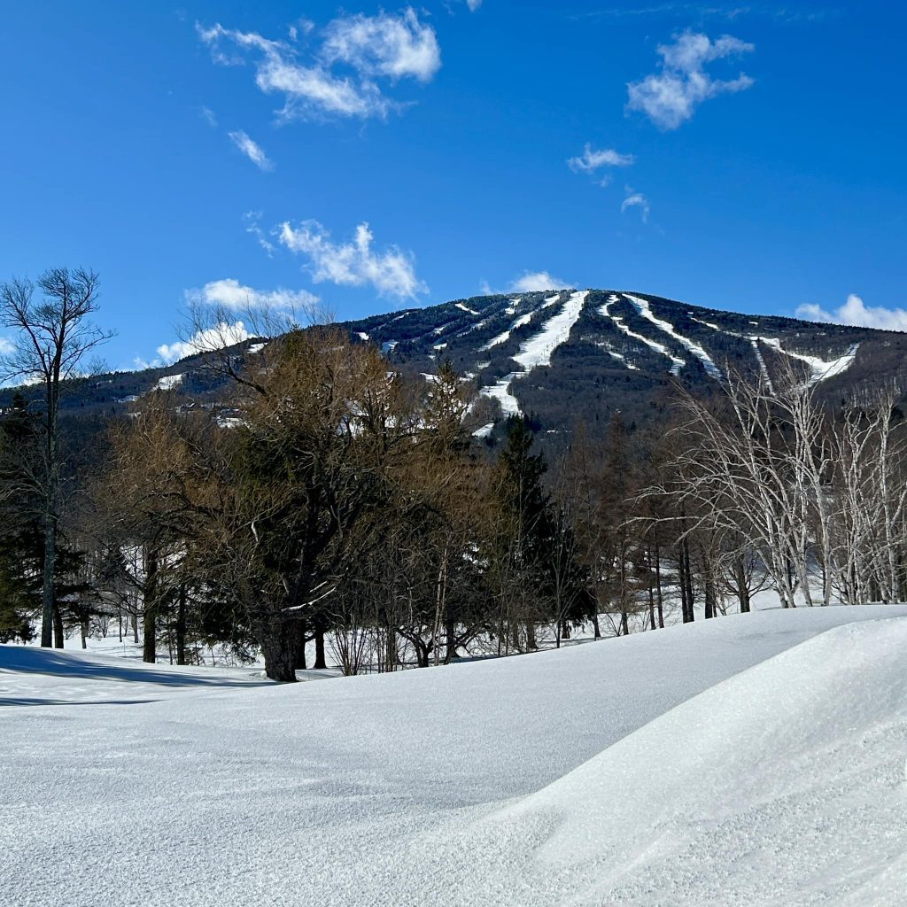 Where is Good to Ski or Board Right Now?