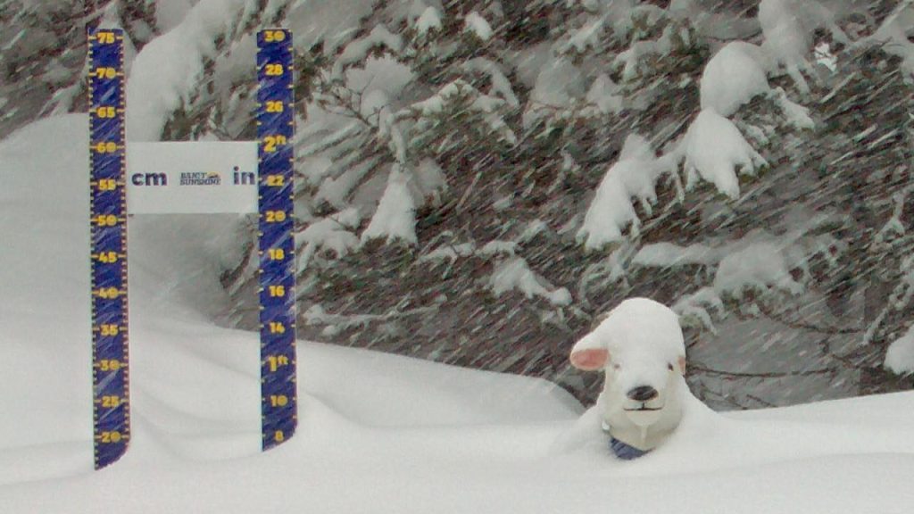 Where is Good to Ski or Board Right Now?