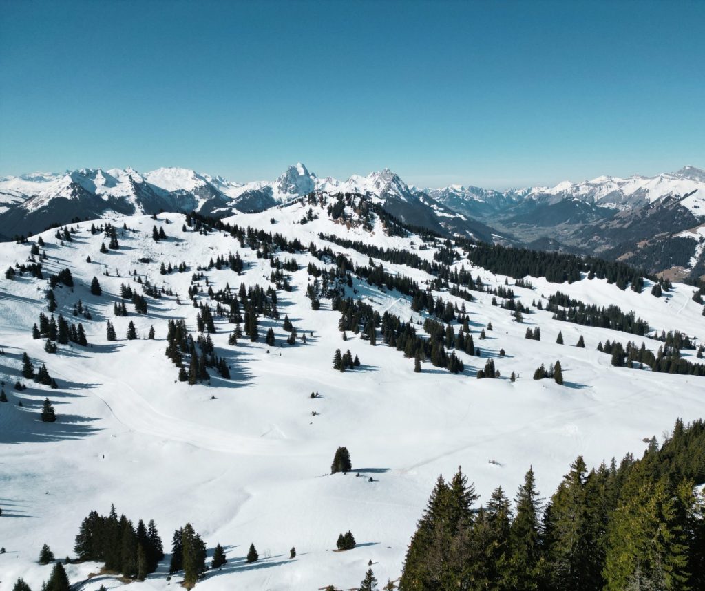 Where is Good to Ski or Board Right Now?