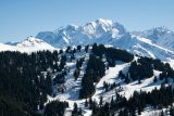 blog_img