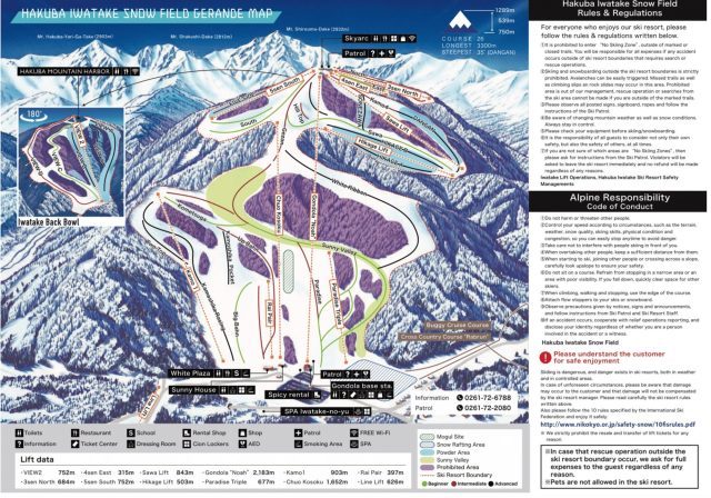 Hakuba Iwatake Snow Field