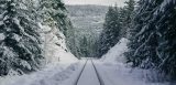 blog_img