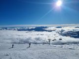 blog_img