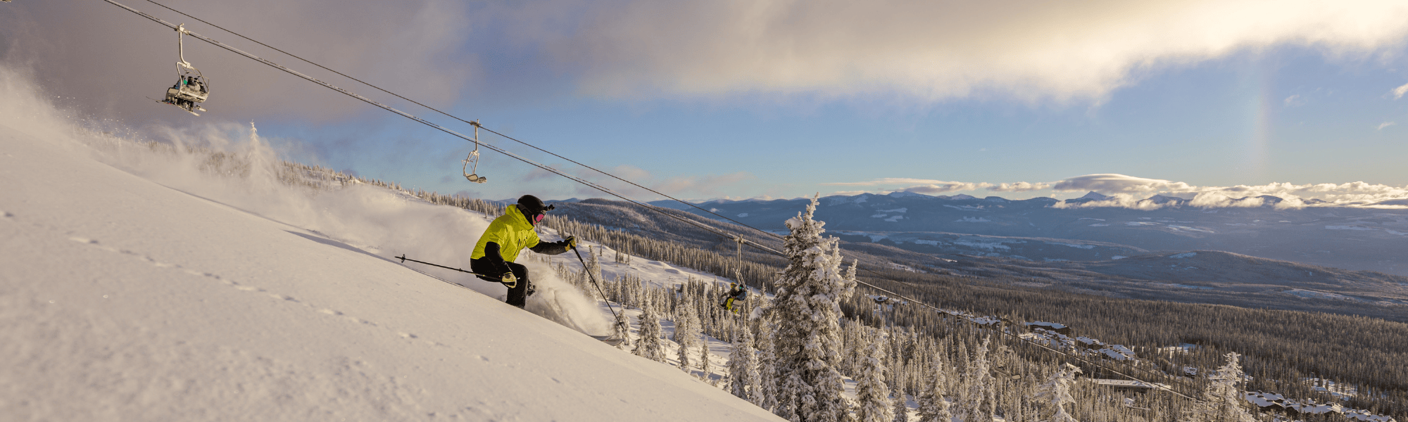big white