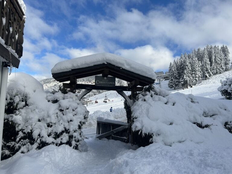 Hotel Christiania Les Gets: On-Piste & Fine Wine