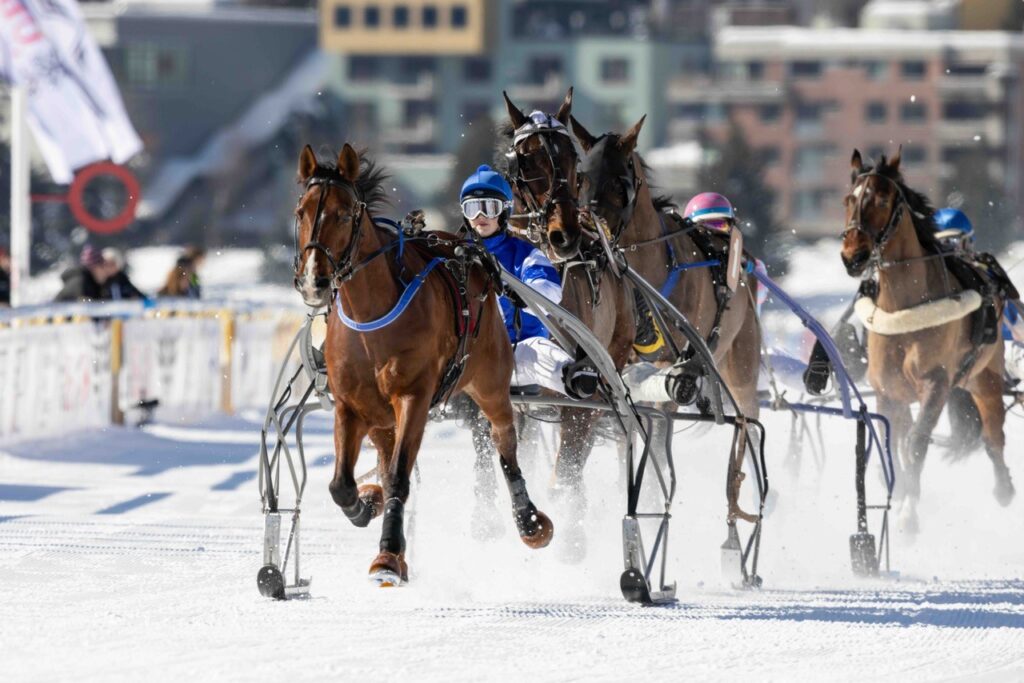 47 Horses At White Turf 2026 Opening This Weekend