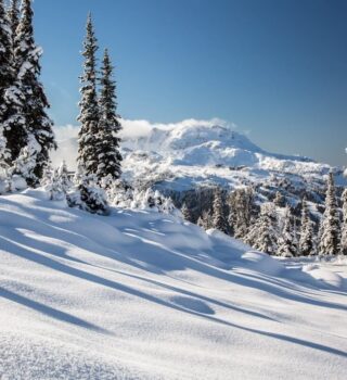 Whistler Resort Guide